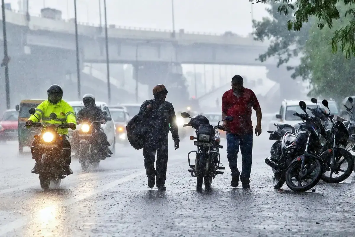 Hailstorm And Heavy Rain Prompt Agriculture Ministry To Coordinate State-Level Crop Damage Review