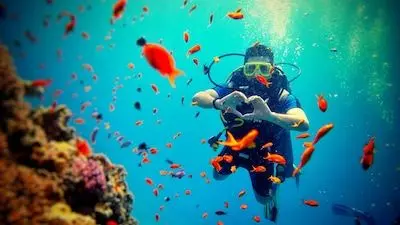 Dive Into Summer: India’s Top 5 Scuba Destinations