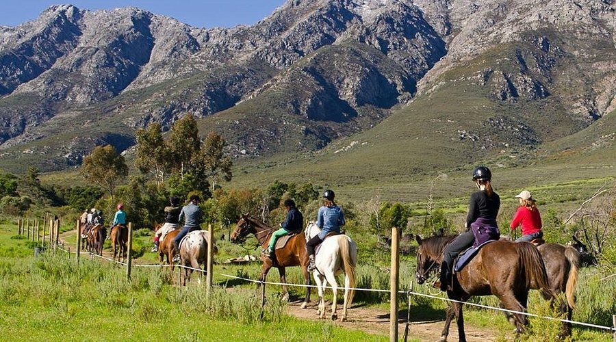 From Horse Trails To Sky Safaris: Domestic Travel Surges Amid Global Uncertainty