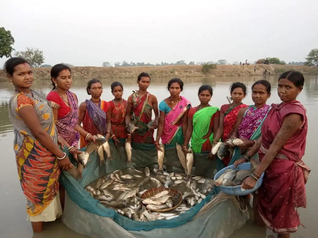 Hooked on Empowerment: How Odisha's Women Are Reeling in Success with Fish Farming