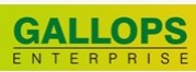 Gallops Enterprise Ltd CFO Nileshkumar Maganbhai Prajapati Resigns