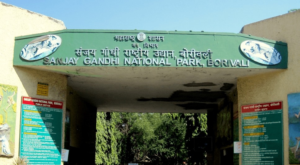 Protecting Mumbai’s Lungs: Citizens Rally to Halt Sanjay Gandhi Park Encroachment