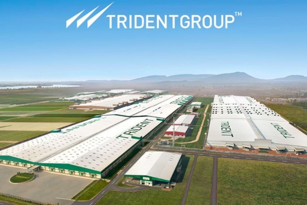 Trident Ltd Weaves Success with ₹17.87 Billion Revenue and ₹909 Million Profit in September Quarter