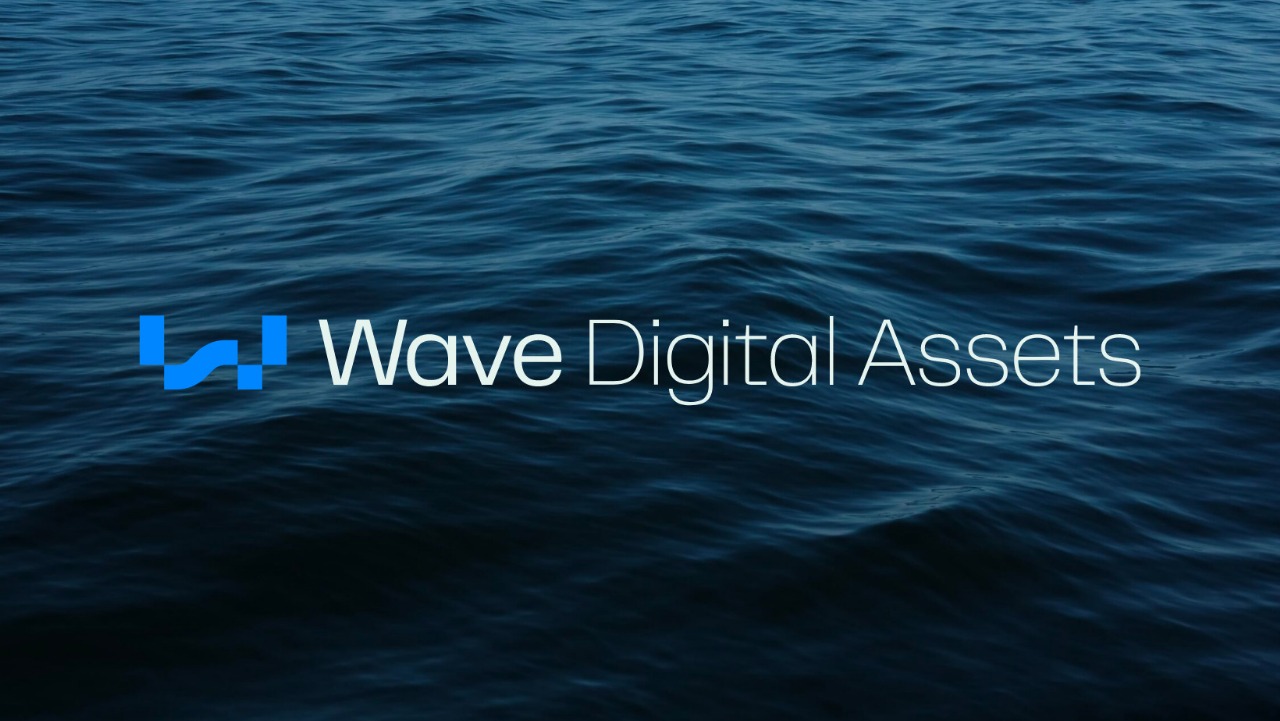 The Pirate Hunters: WAVES Leads the Charge Against Digital Theft"