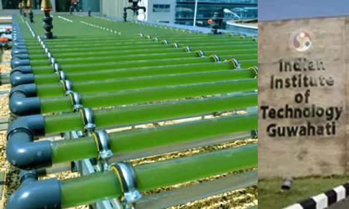 IIT Guwahati's Green Revolution: Converting Wastewater to Clean Energy through Microalgal Biorefinery