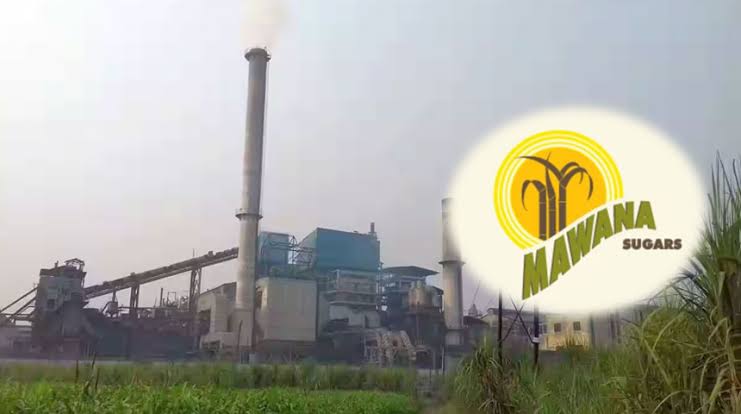 Sugar Season Wrap: Mawana Sugars Halts Crushing At Nanglamal