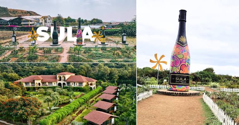 Sula Vineyards Q1 FY26: Revenue Slips, Profit Plunges but Wine Tourism Pops