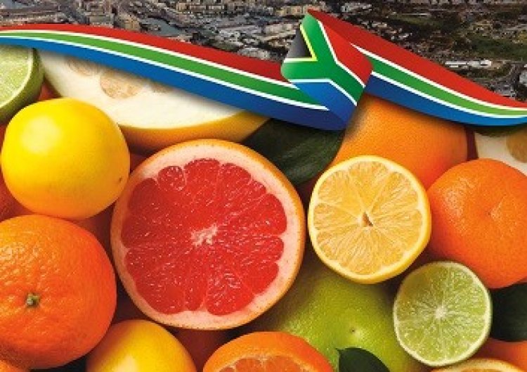 Orange Alert! South Africa’sCitrus Industry Demands Budget Support to Keep Global Momentum Rolling