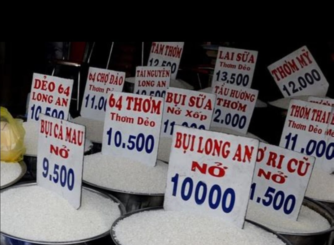 Global Rice Market in Turmoil: Vietnam, Pakistan Cut Prices Amid Weak Demand