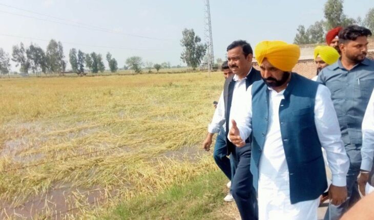Harvest Of Hope: Farmers Get Relief As Centre Aligns With Bhagwant Mann’s Vision