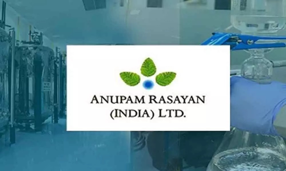 Q4 Drama Unfolds: Anupam Rasayan’s Sales Climb, Profits Slide—Industry at a Crossroads
