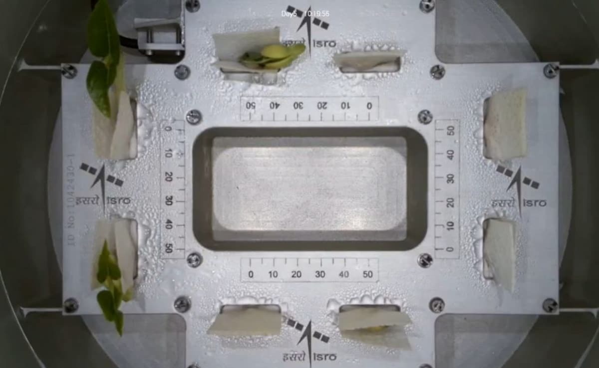 Seeds, Cells, and Space: India’s Experiments on ISS Redefine Biology Beyond Earth