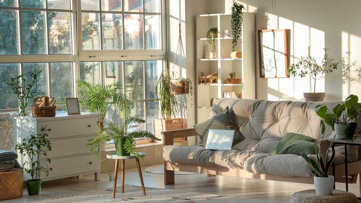 Eco-Chic Revolution: Where Sustainable Living Meets Stunning Style