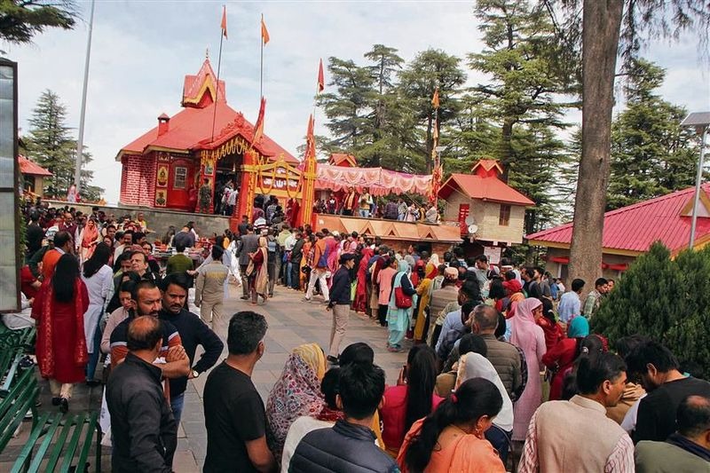 Devotees Flock to Shimla's Jakhu Temple for Hanuman Jayanti Festivities