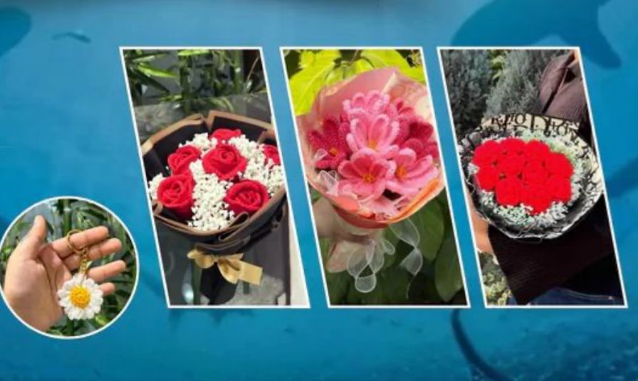 WOW STORY OF THE DAY: She Learned Crochet From Her Grandfather With ₹1,000 and Built a Brand That 1 Lakh Customers and Two Sharks Chose to Back