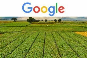 Sow Much Tech: Google Launches AMED API & Cultural Data Sets to Grow Smarter Farms and AI