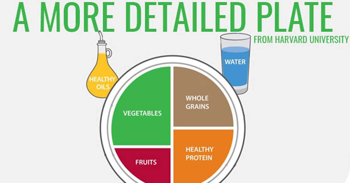 Veggies in the Spotlight: Harvard’s Healthy Eating Plate Shines a Light on Balanced Living