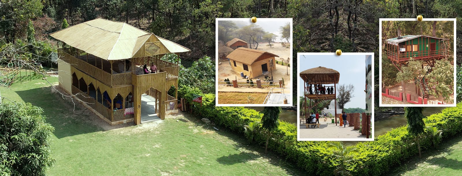 UP’s Eco-Tourism Push: Global Delegates Set to Explore the Wild Heart of India