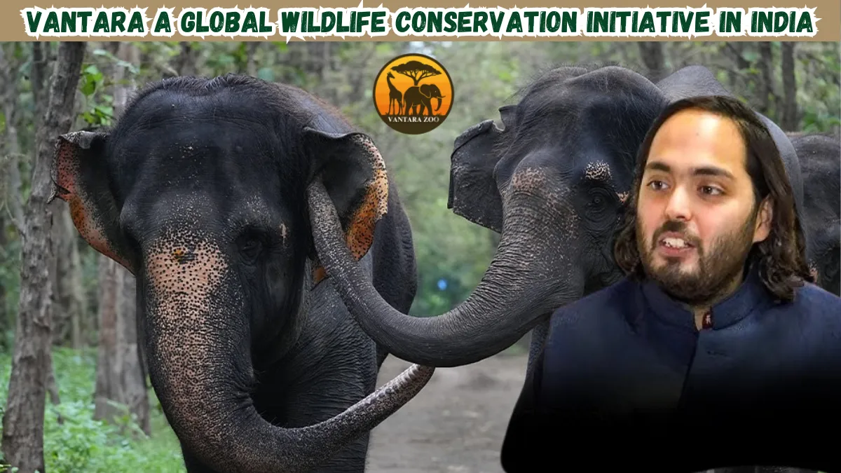 Paws and Effect: Anant Ambani’s Wild Affair with Conservation