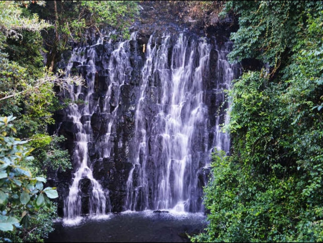 From Misty Heights to Crystal Pools: 7 Best Waterfalls Near Shillong