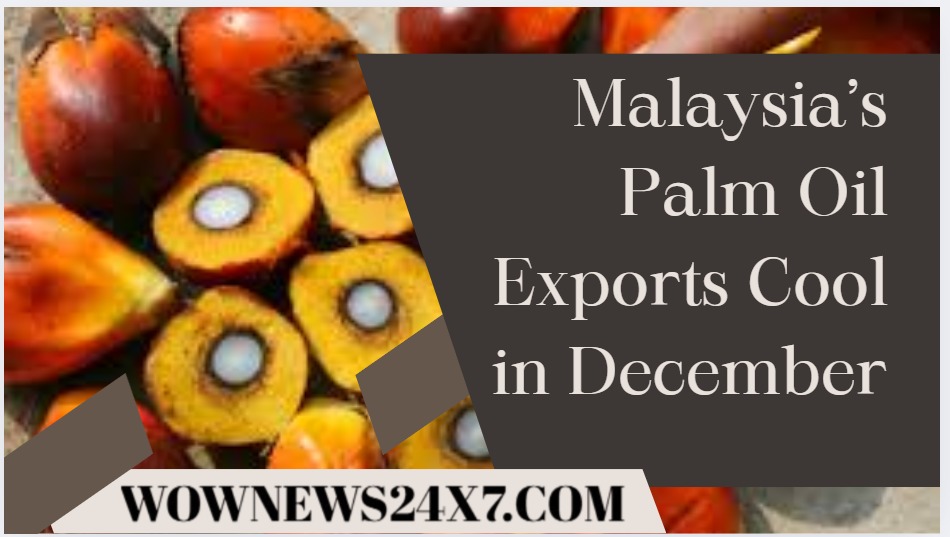 Commodity Watch: Palm Oil Exports Decline as December Demand Weakens