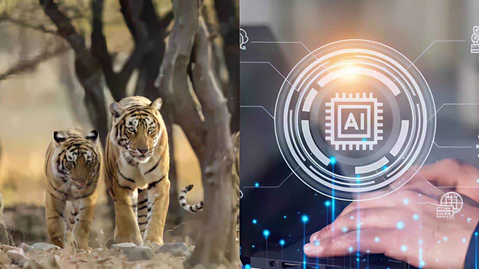 Beasts vs. Bytes: Maharashtra Unleashes AI Army to Guard Villages from Tiger Threat