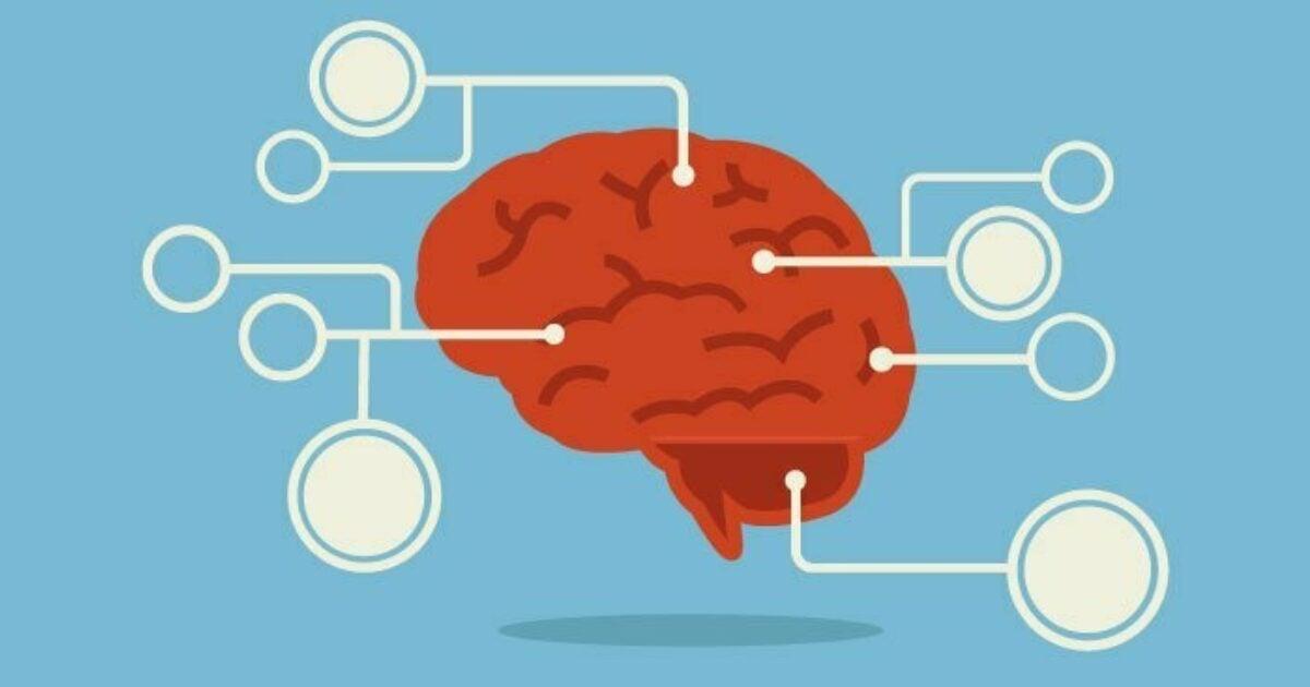 Get Brainy: 7 Science-Approved Habits to Level Up Your IQ Game