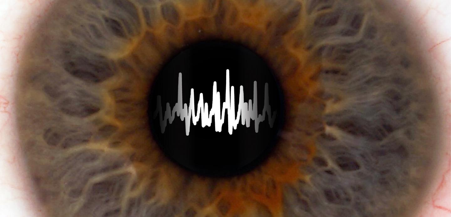 Pupil Size During Sleep: A Key to Memory Formation