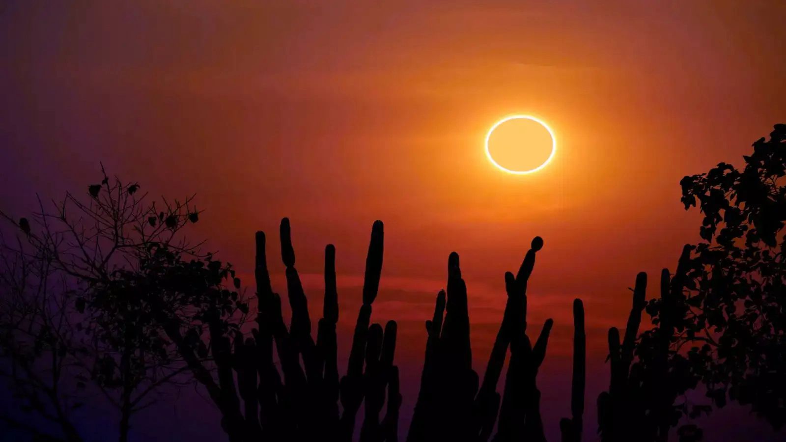 Annular Solar Eclipse 2026: The ‘Ring of Fire’ to Grace Skies on February 17