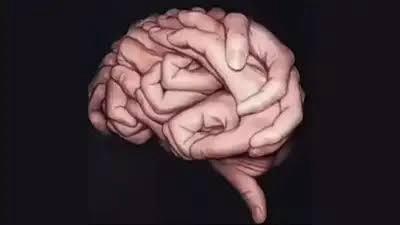Hands or Brain? Viral Optical Illusion Reveals If You’re Too Trusting or Suspicious