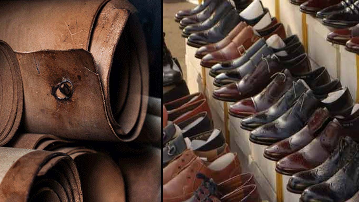 Step into Success: Budget 2025 Unveils Bold Plans to Propel India's Footwear and Leather Industries