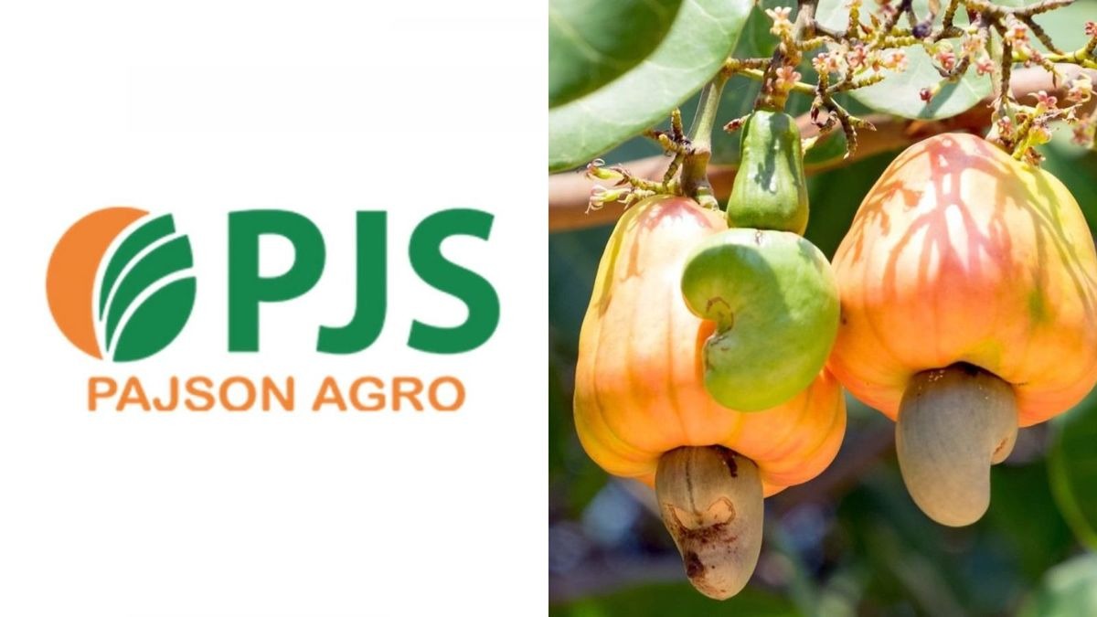 Pajson Agro India IPO Prices In at ₹112-118: Cashew King's SME Debut Beckons