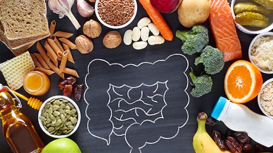 Gut Check: Why Your Habits Matter More Than Junk Food