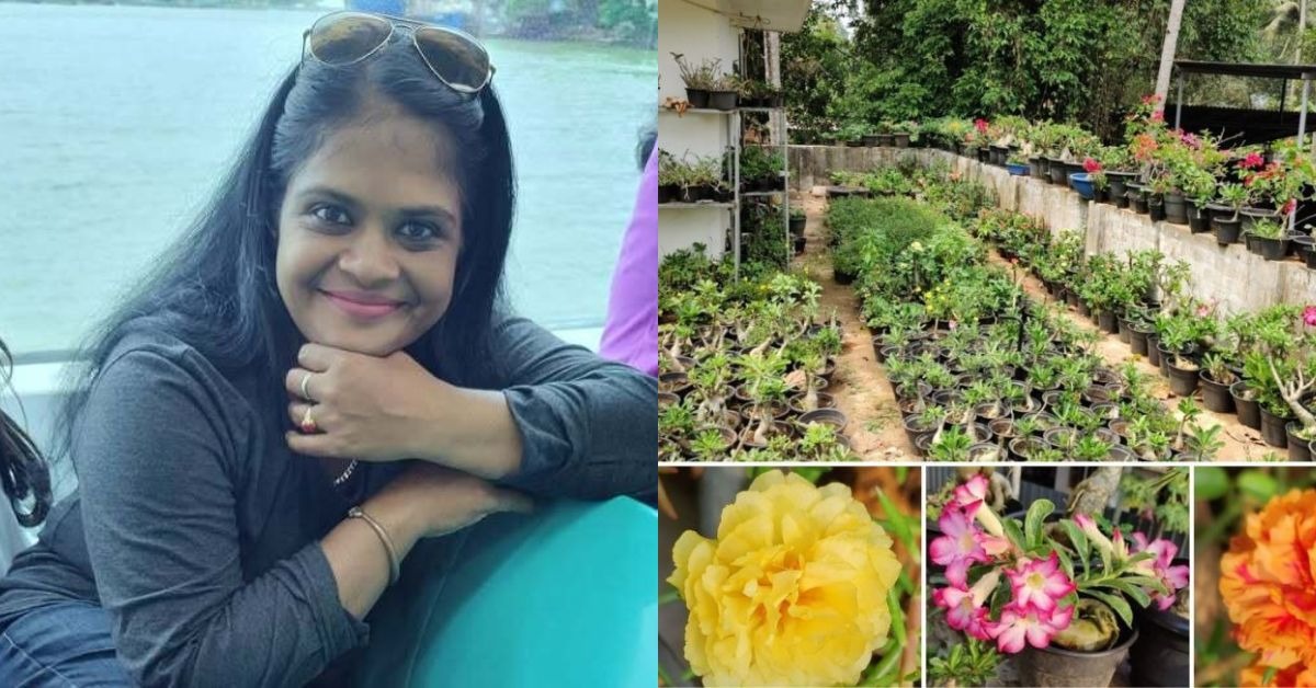 From Rooftop to Rose Haven: How a Kerala Woman Cultivated 600+ Varieties in Her Terrace Garden