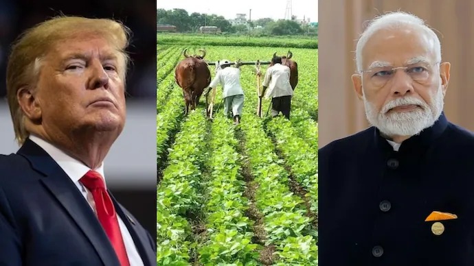 India Unlocks Agricultural Sector for US: Quotas Set the Stage for a Trade Shake-Up