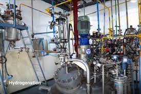 Sai’s Science Gets a Bigger Lab Coat—Bidar Facility Expansion Now in Motion