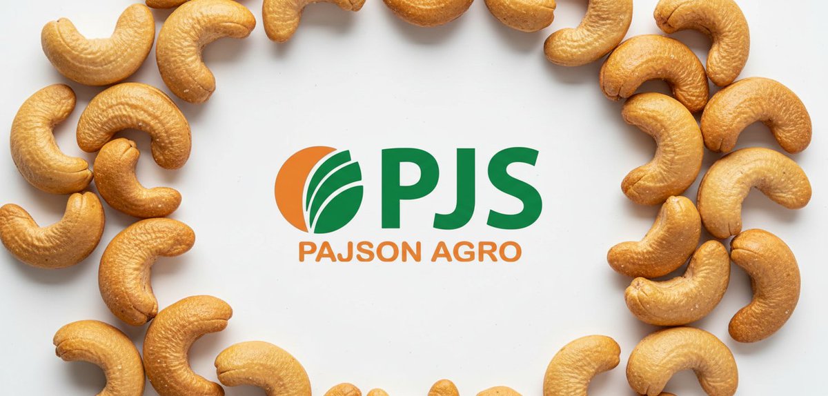 Pajson Agro India Ltd Strengthens Leadership With New CFO Appointment