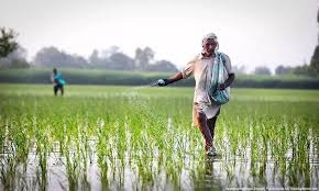 India’s Gas Distribution Policy Shifts Focus Away From Fertiliser Sector