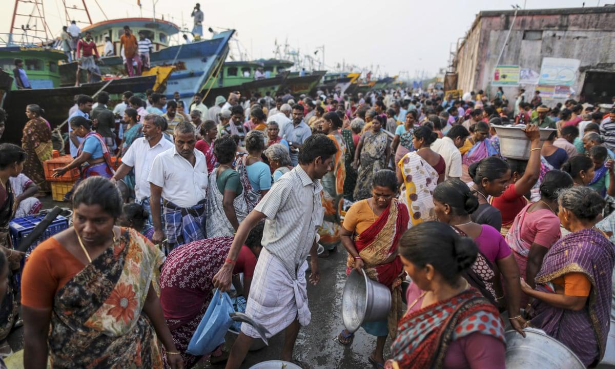 Monsoon Extremes Starve Bay of Bengal: 50% Drop in Marine Food Sparks Climate Alarm