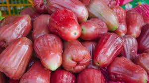 Rose Apple: The Tropical Fruit That Boosts Immunity, Beautifies Skin, and Helps Manage Diabetes