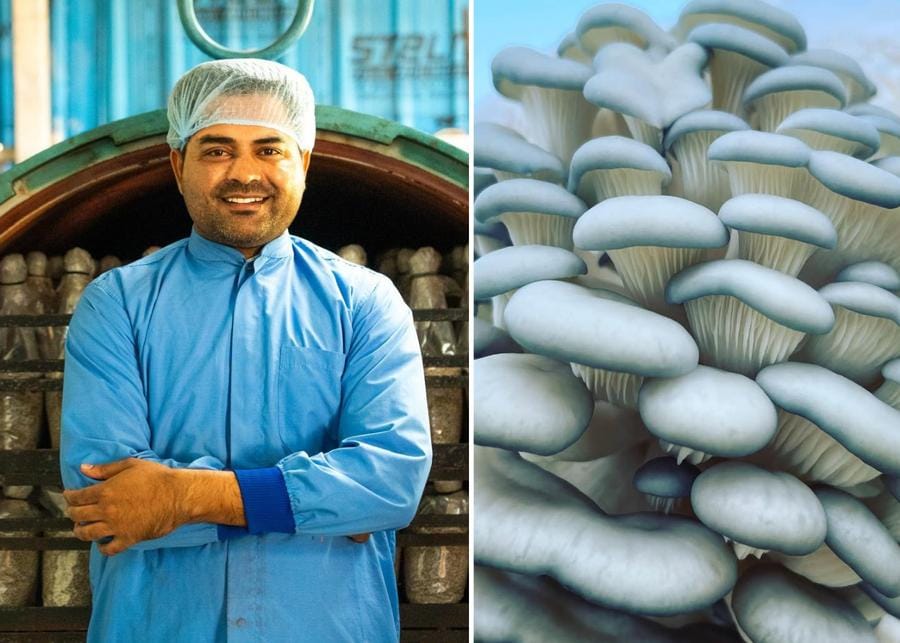 From Bank Rejections To Mushroom Riches: Rajasthan Farmer Cultivates A 90 Lakh Success