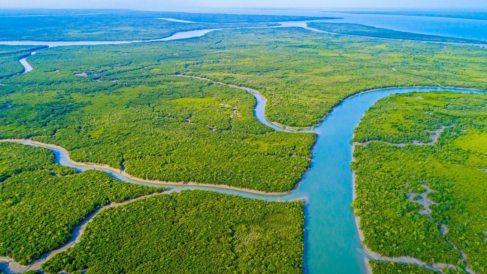 Sunderbans: Where Climate And Power Shape The Vote
