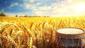 Spice Of Life: Reaping The Harvest Of A Golden Season