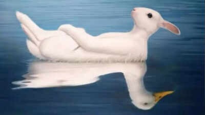 Duck or Rabbit? The Viral Optical Illusion That Claims to Decode Your Personality