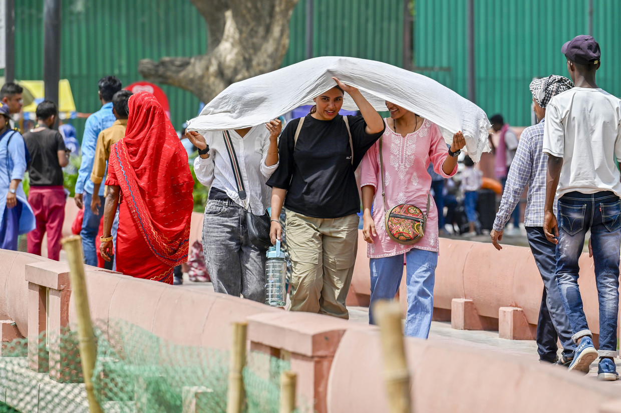 Sun-Scorched Economies: The Hidden Costs of Heatwaves