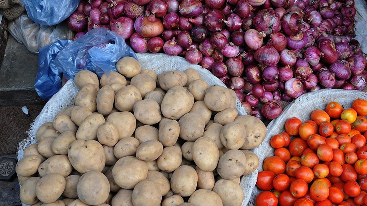 India Anticipates Surge in Onion, Tomato, and Potato Production for 2024-25