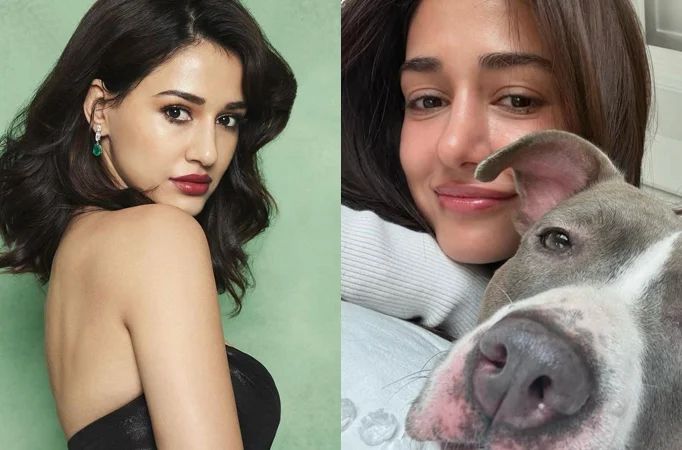 Beyond the Six-Pack: Disha Patani Is Flexing Her Love for Anime and Animals