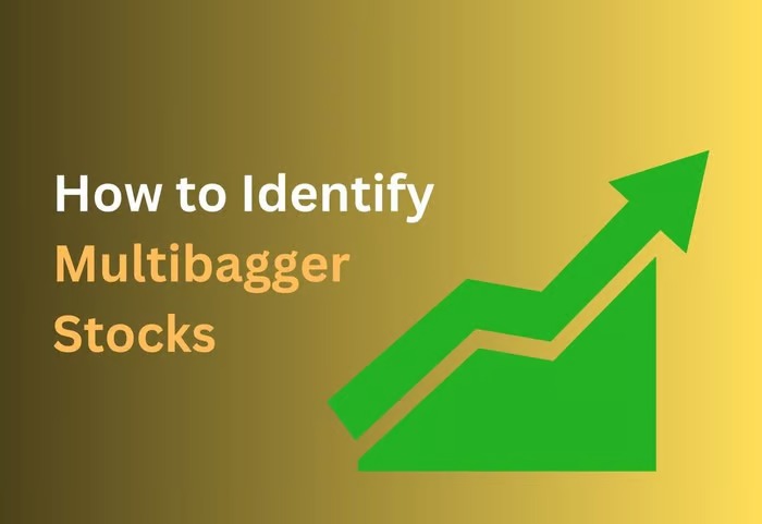 Hidden Gems Ahead: How To Spot Multibagger Stocks Early In India