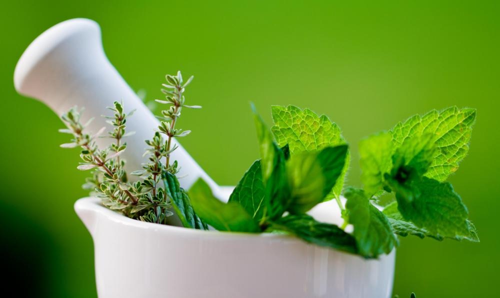 Dry Scalp? Don't Panic! Ayurveda's Got Your Back (and Hair)