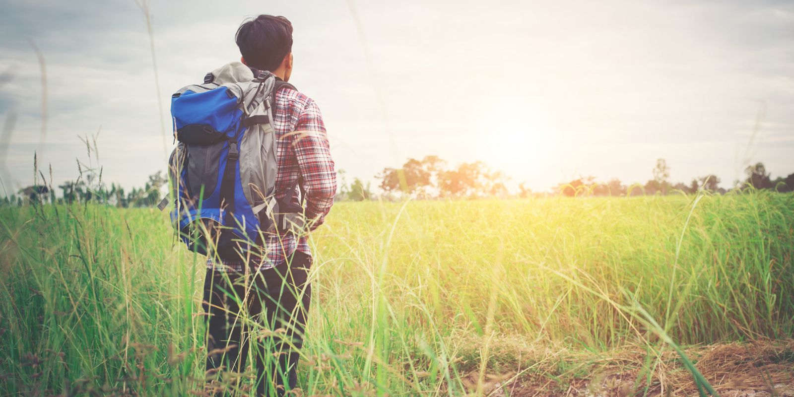 India’s Professionals Rediscover Farmland: A Shift Toward Health, Security, and Sustainability